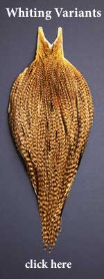 <Whiting Farms American Rooster Saddles>